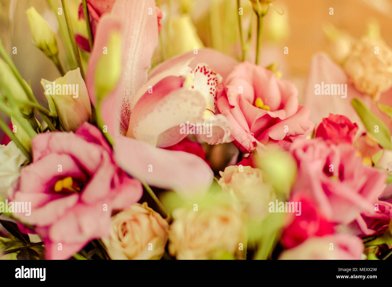 Bouquet d'orchidées et de roses sur un beau fonds de Banque D'Images