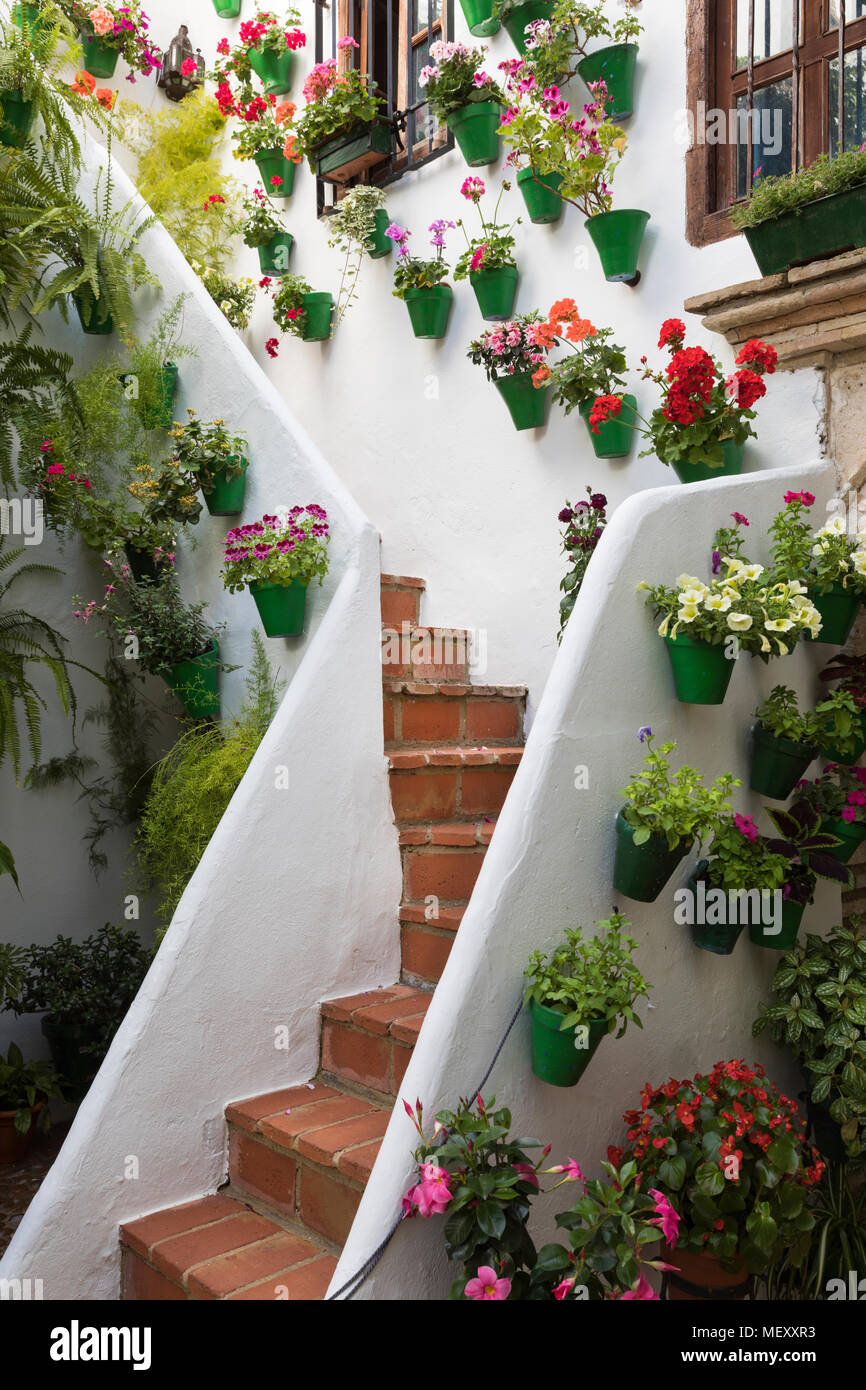 Les couleurs de l'image de fleurs au Festival des patios, Cordoue, Andalousie, Espagne, Europe Banque D'Images