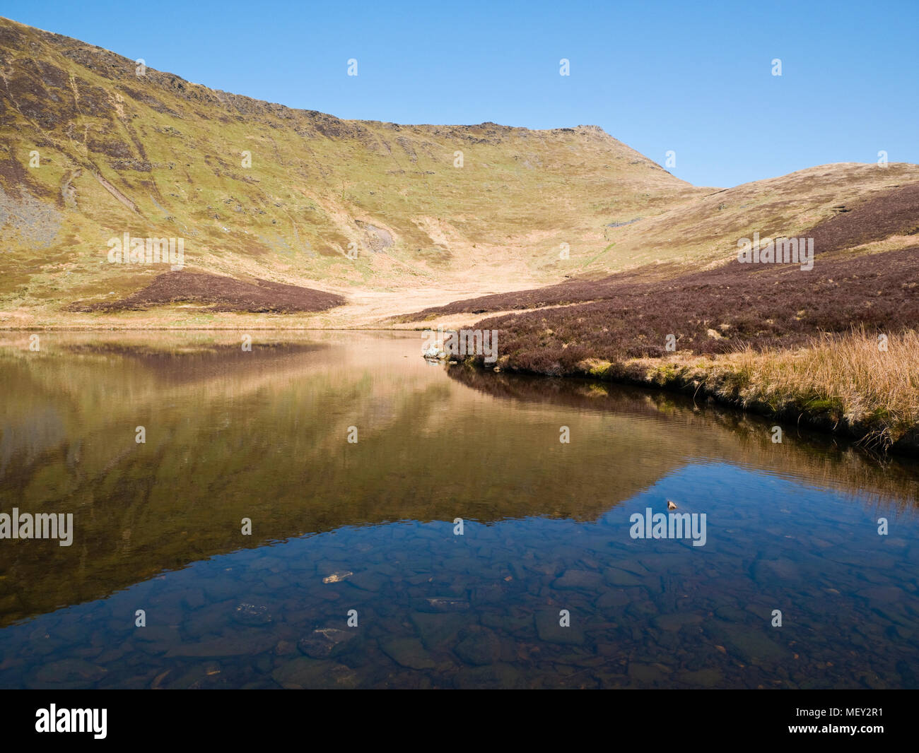 Le sommet du Cadair Berwyn dominant le lac de montagne de Llyn, Lluncaws dans le Welsh montagnes Berwyn Banque D'Images