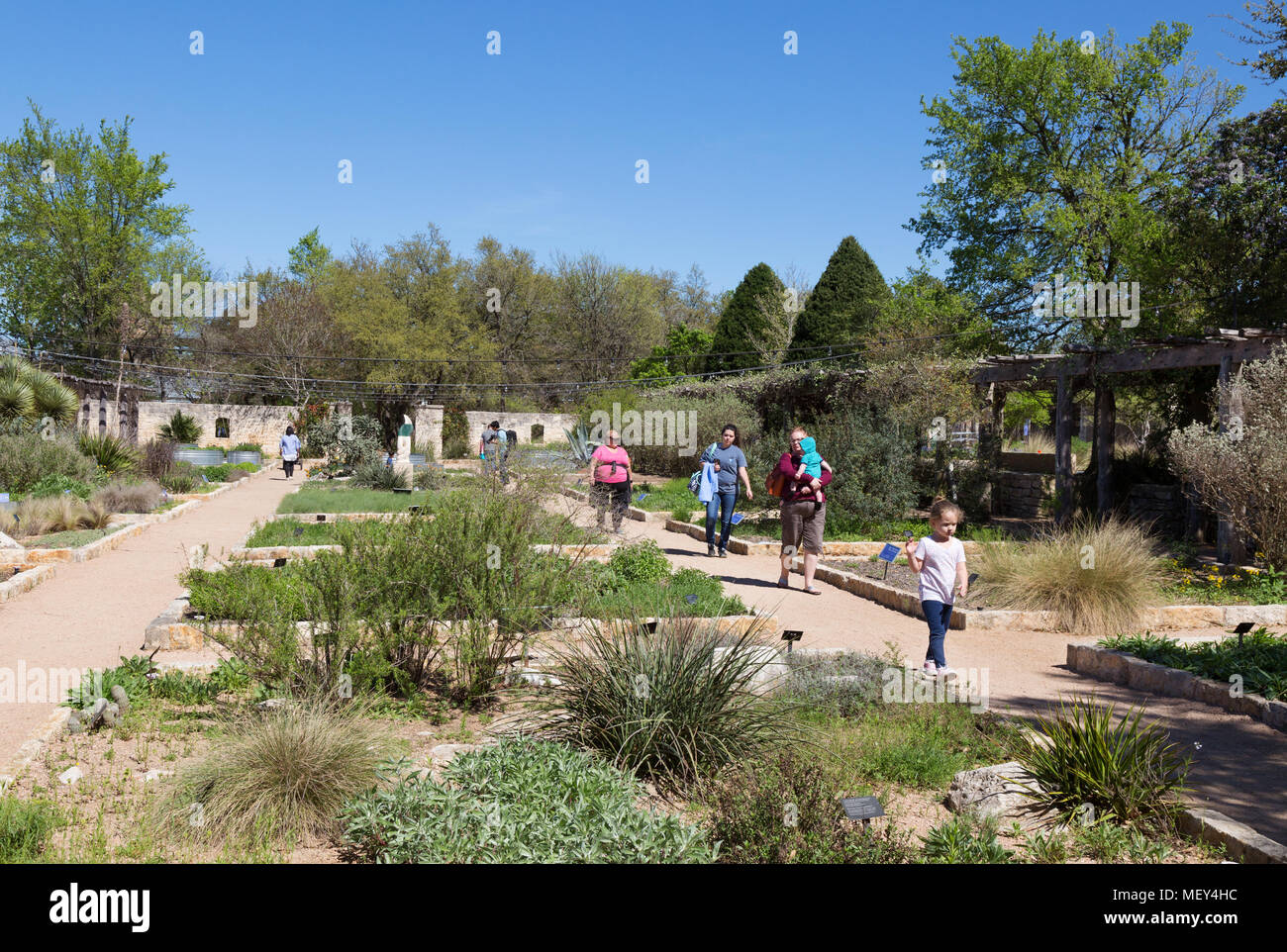 Les visiteurs appréciant les usines à la Lady Bird Johnson Wildflower Center, Austin, Texas USA Banque D'Images