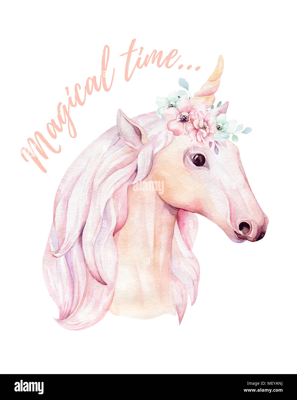 Cute isolés licornes aquarelle de fleurs. clipart Unicornsillustration en pépinière. Arc-en-ciel princesse poster. Rose à la mode cartoon pony horse. Banque D'Images