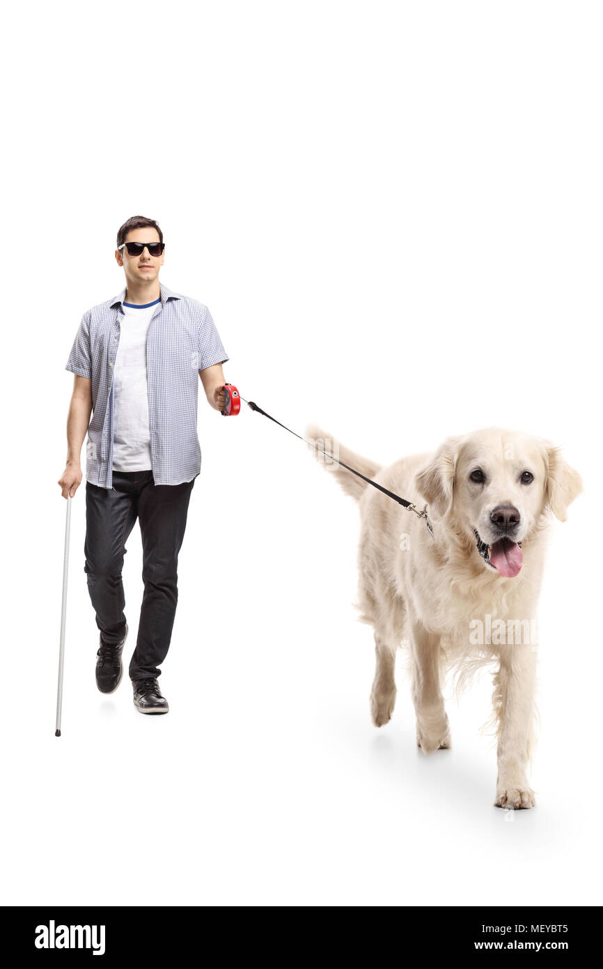 Portrait d'un jeune homme aveugle marche avec l'aide d'un chien isolé sur  fond blanc Photo Stock - Alamy