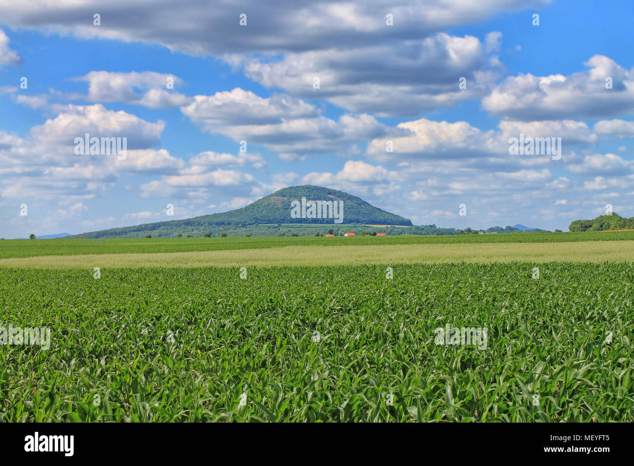 La montagne de Rip - lieu de pèlerinage populaire, la région de Bohême centrale. République tchèque. Banque D'Images