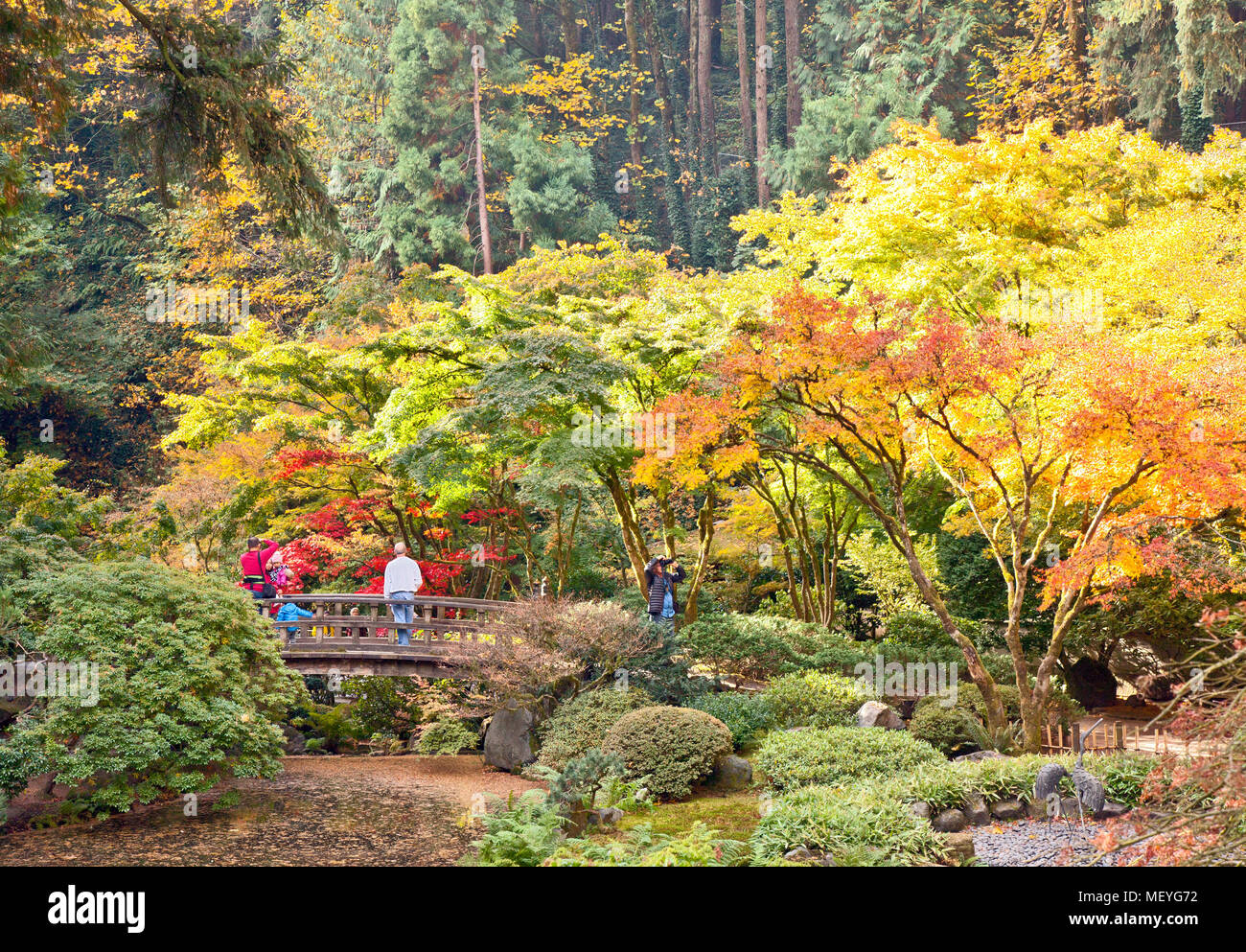 L'automne apporte un changement de couleur, les visiteurs et les photographes de la célèbre Portland Japanese Tea Garden. (Les couleurs sont naturelles ; ne pas être améliorées dans Photoshop). Banque D'Images