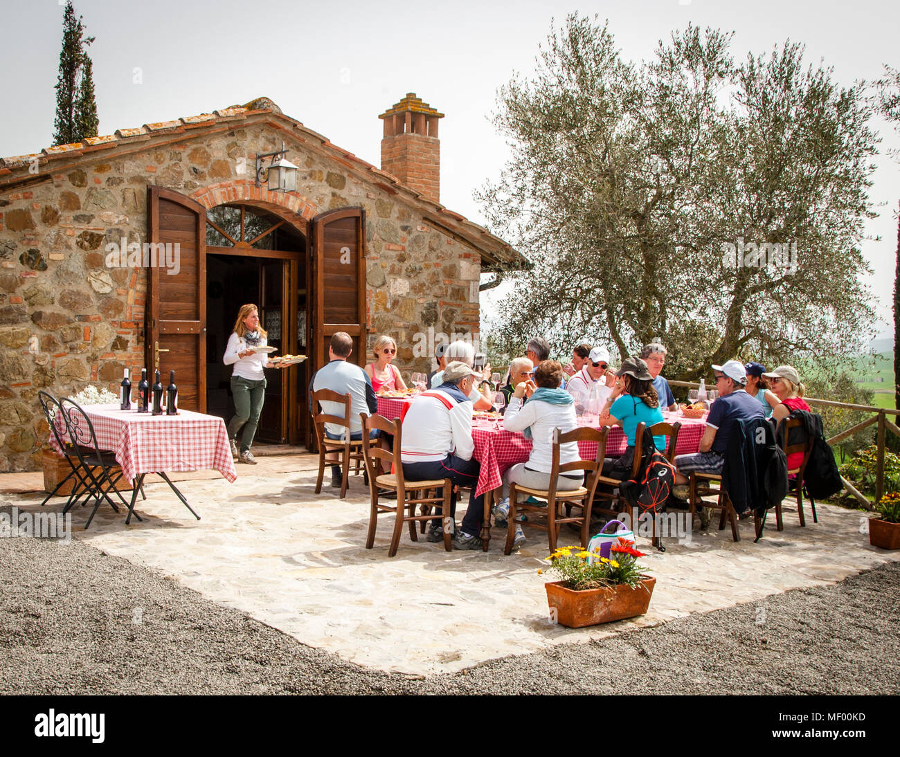 Grande table de dîner à la ferme de Tiziana Pasquini. La ferme familiale produit de l'huile d'olive, du vin et du blé dur pour les pâtes. À midi, il y aura un en-cas copieux et des dégustations de vin et d'huile d'olive en Toscane Banque D'Images