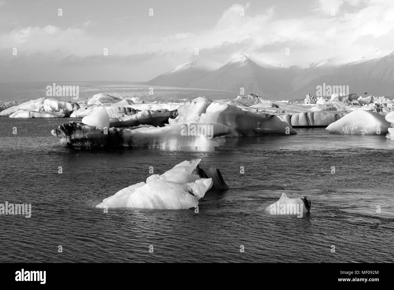 Jokulsarlon Glacial Lagoon en noir et blanc, Vatnajokull, Islande Banque D'Images