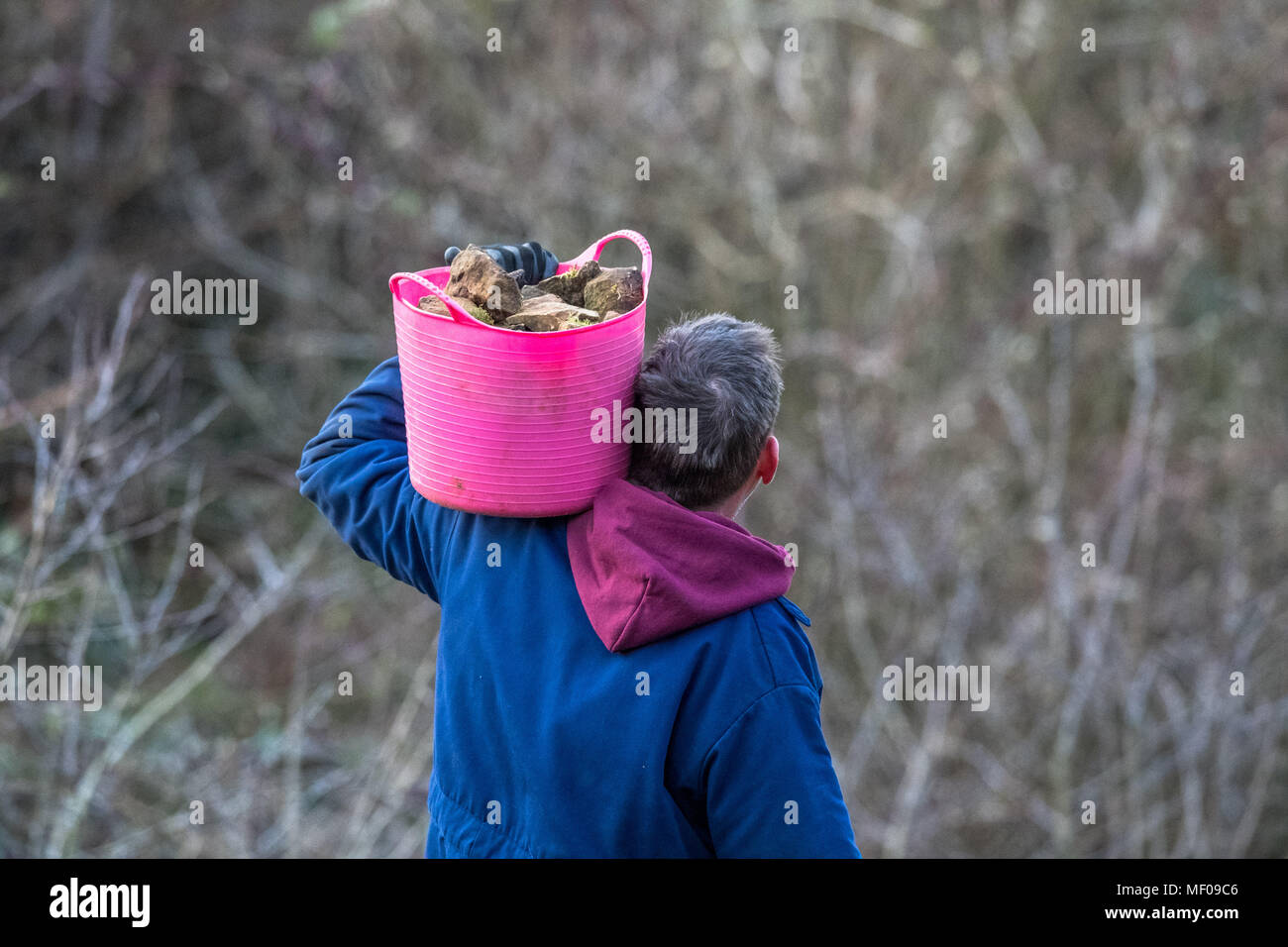 Homme portant des petites roches dans un seau en plastique sur cette épaule. Banque D'Images