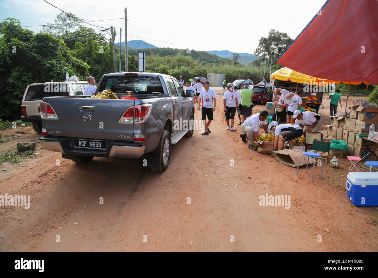 Les bénévoles préparent les bananes et de l'eau au point de contrôle 2 de la PCC Présidentielle spécialisés Ride vtt 2013 compétition À Semenyih, Malaisie. Banque D'Images