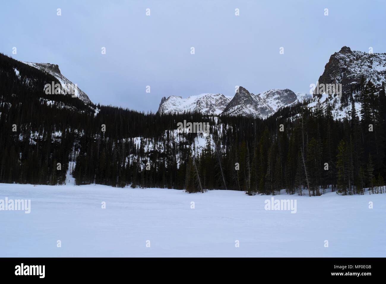 Ce paisible paysage d'hiver dispose d'un ciel clair, forêt de conifères, et de montagnes couvertes de neige. Prises dans le Parc National des Montagnes Rocheuses. Banque D'Images