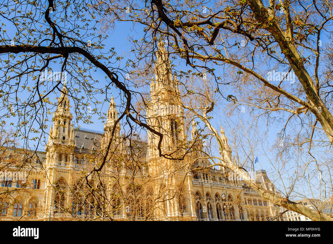 Hôtel de ville, hôtel de ville, Vienne, Autriche. Il a été conçu par Friedrich von Schmidt dans le style gothique, et construit entre 1872 et 1883. Banque D'Images