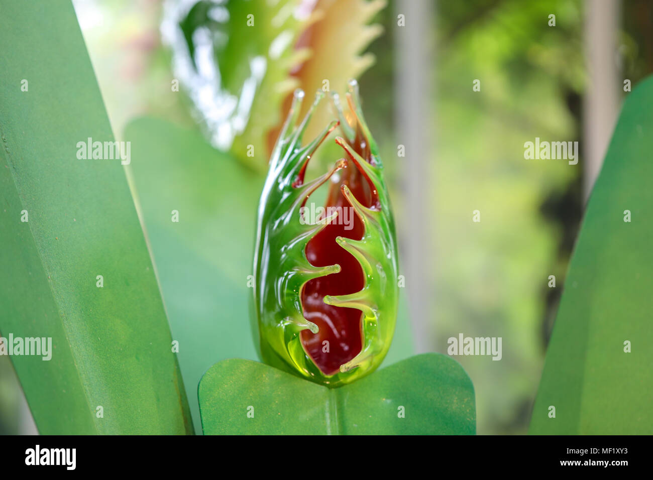 Belle, plus grand que nature, de verre aux couleurs vives Venus Fly Trap fleurs comme vu à la Phipps Conservatory Botanical Gardens. Banque D'Images