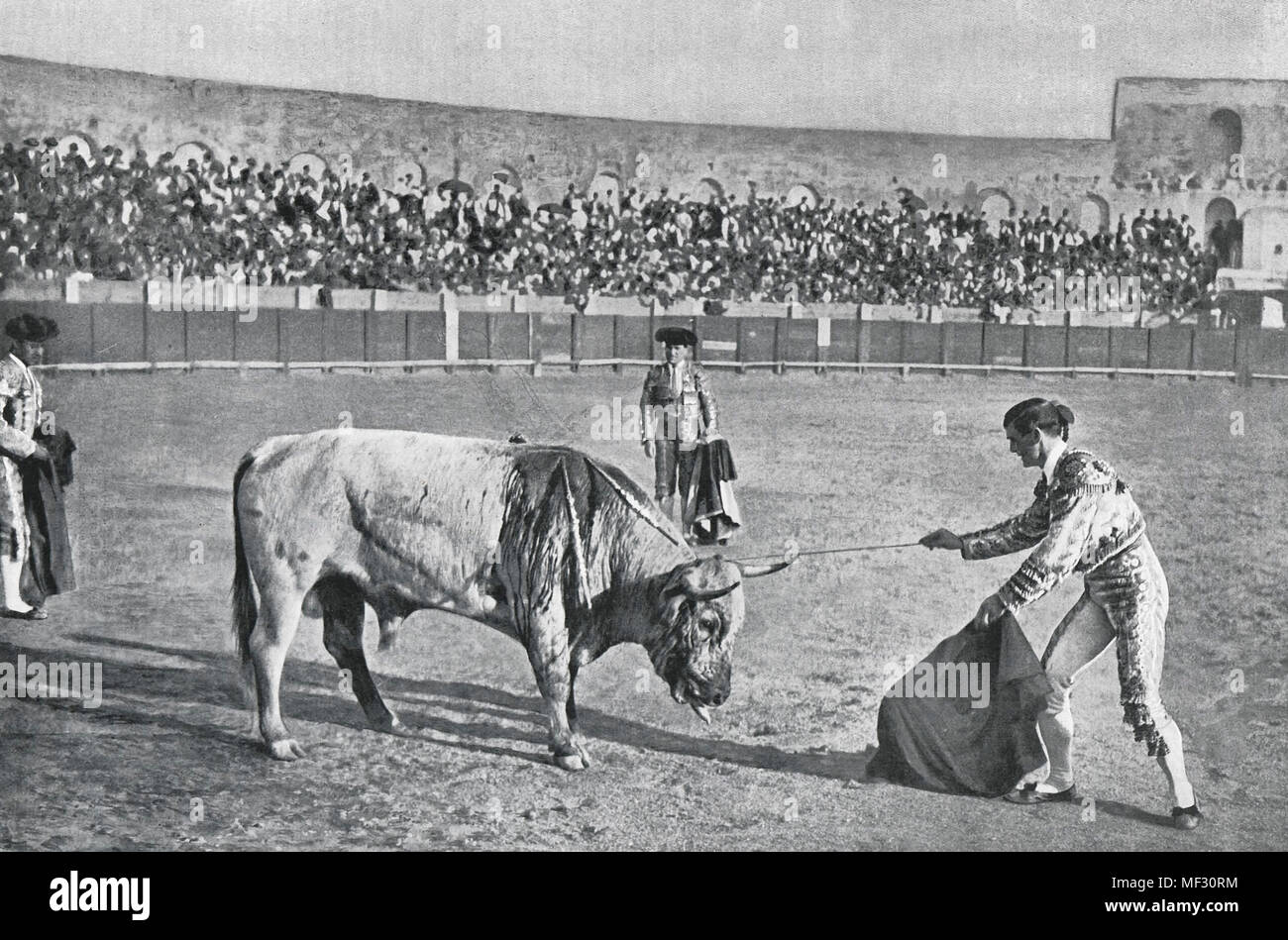 Courses - Le Descabello Bull Banque D'Images
