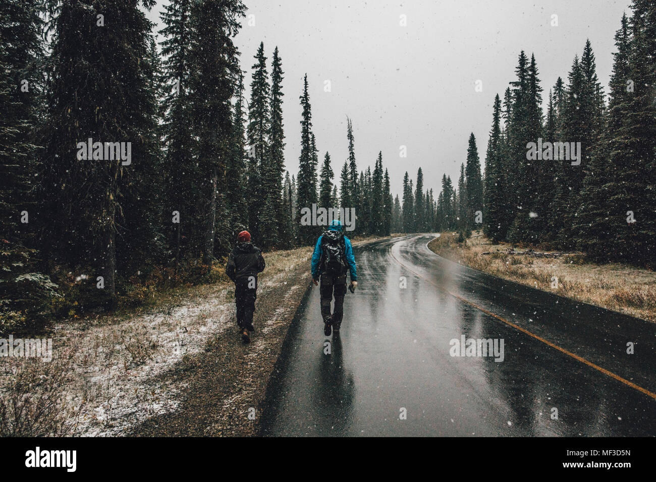 Le Canada, la Colombie-Britannique, le parc national Yoho, deux hommes en randonnée sur la route de la vallée Yoho en neige Banque D'Images