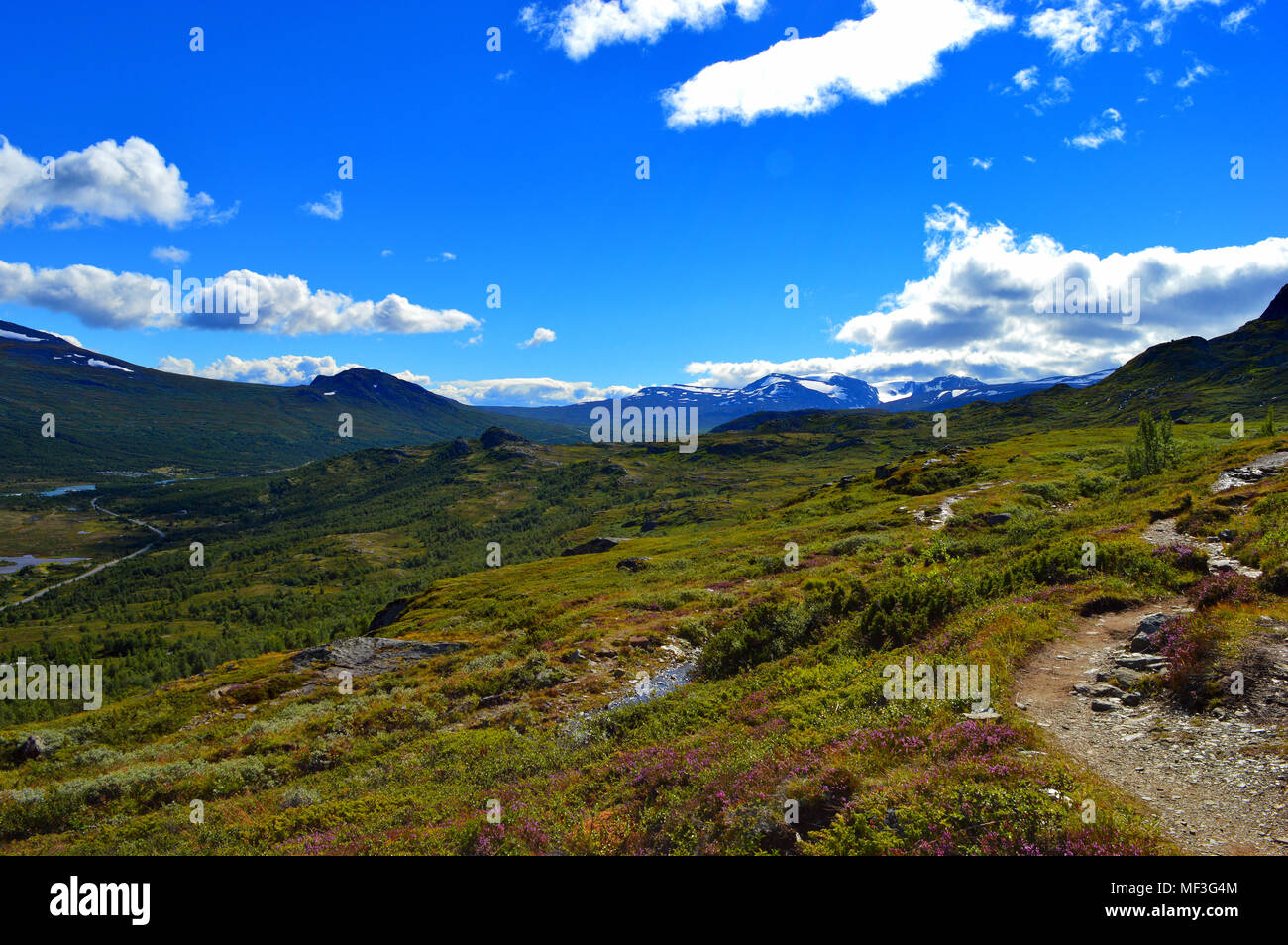 La belle nature du parc national de Jotunheimen Norvège Banque D'Images