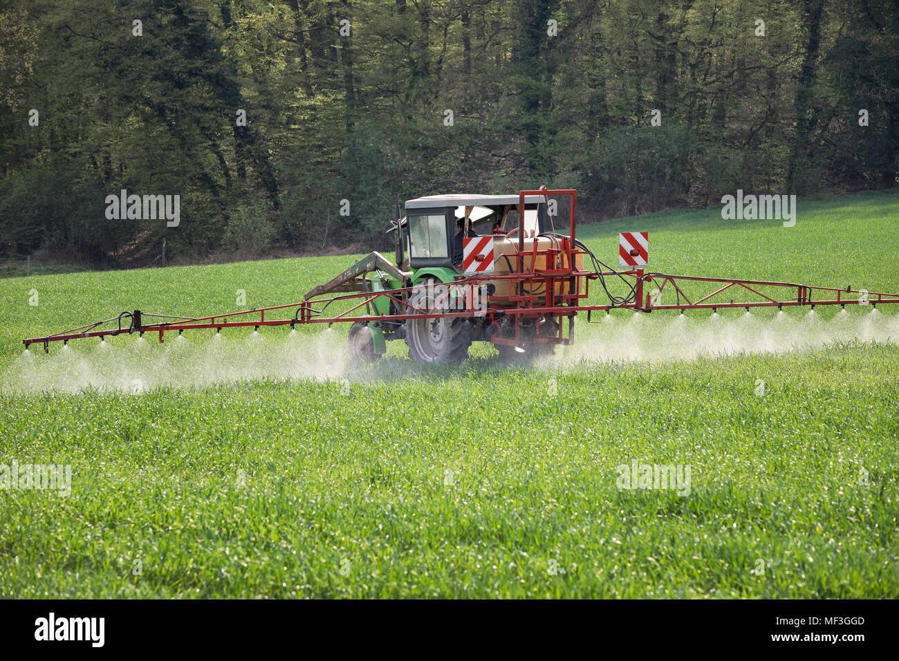 Le contrôle des mauvaises herbes sur le Groenland Banque D'Images