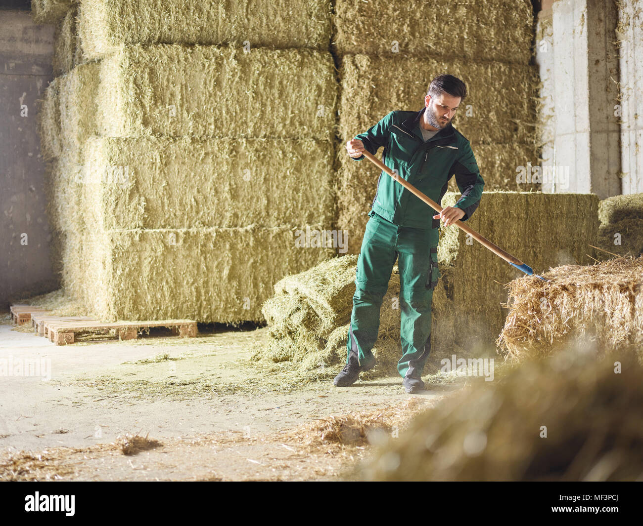 Exploitant agricole travaillant avec de la paille à la ferme Banque D'Images