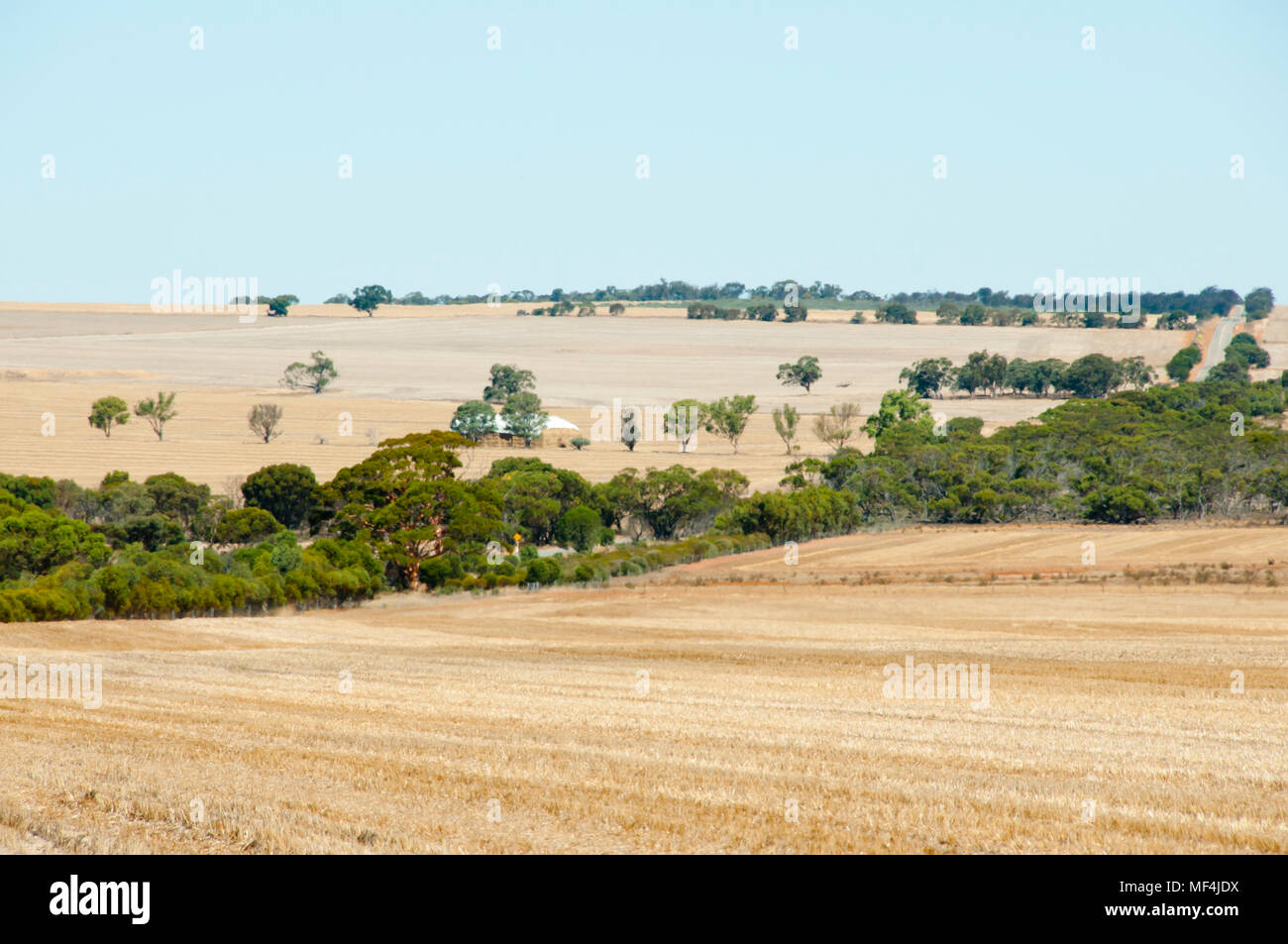 Champs de blé récoltés - Australie Banque D'Images