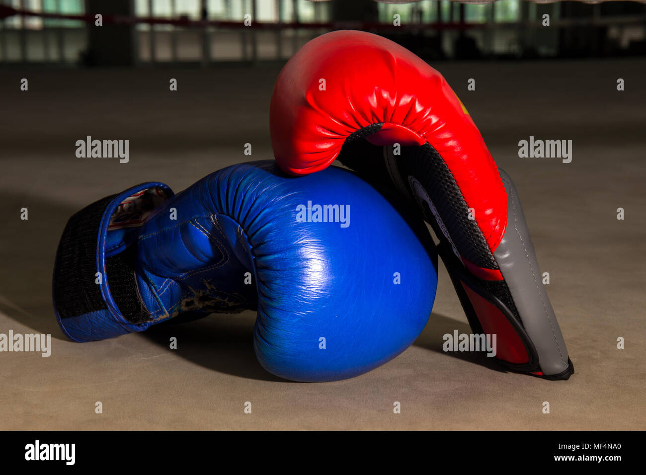 Gant de boxe rouge et bleu sur le ring de boxe dans une salle de sport, salle de remise en forme Banque D'Images