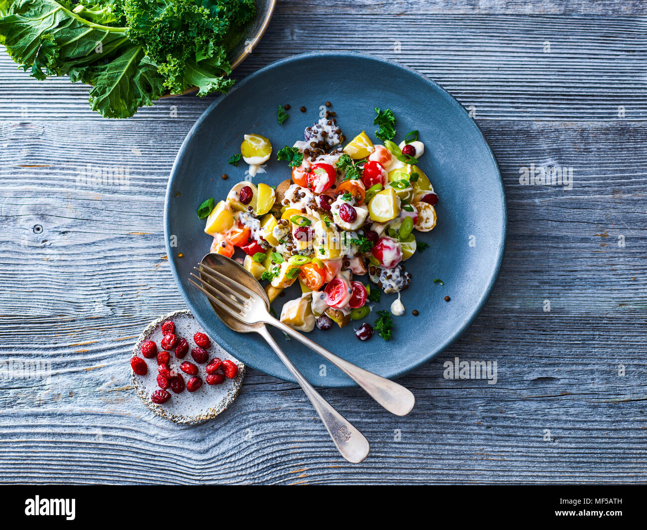 Beluga salade de pommes de terre et de chou vert, tomate cerise, lentille, oignon printemps, salade, fourchette et cuillère, canneberges Banque D'Images