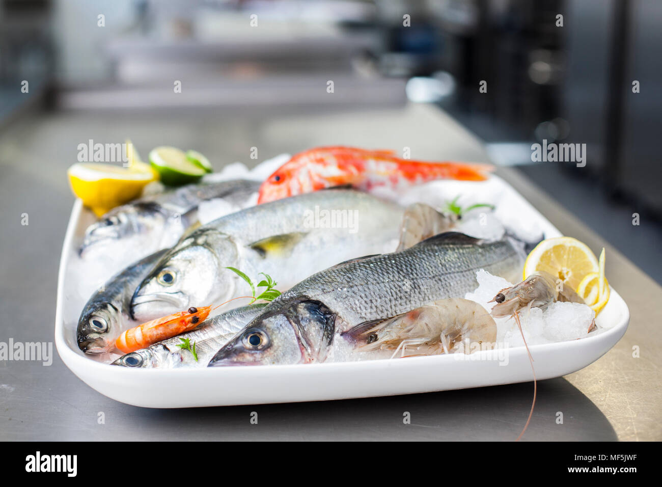 Plateau avec le poisson et les fruits de mer crus Banque D'Images