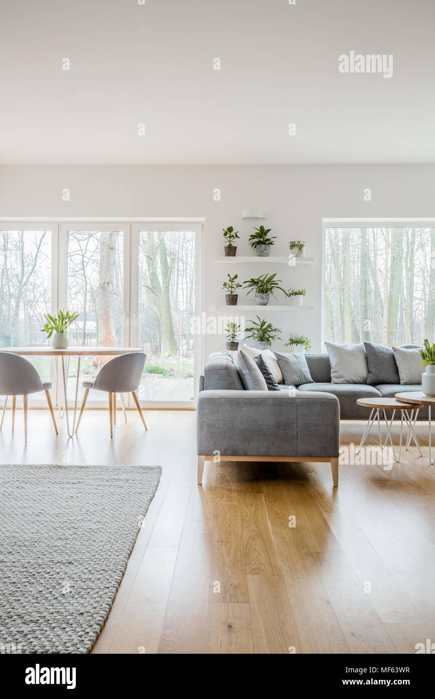 Frais Vert Plantes En Pots Placés Sur Des étagères Au Salon