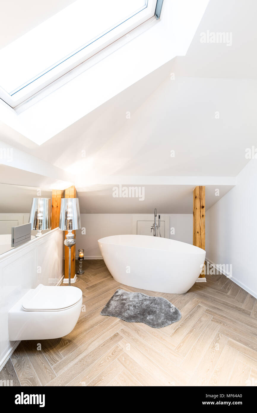 Baignoire et toilettes en ovale, minimaliste, blanc lumineux intérieur salle de bains Banque D'Images
