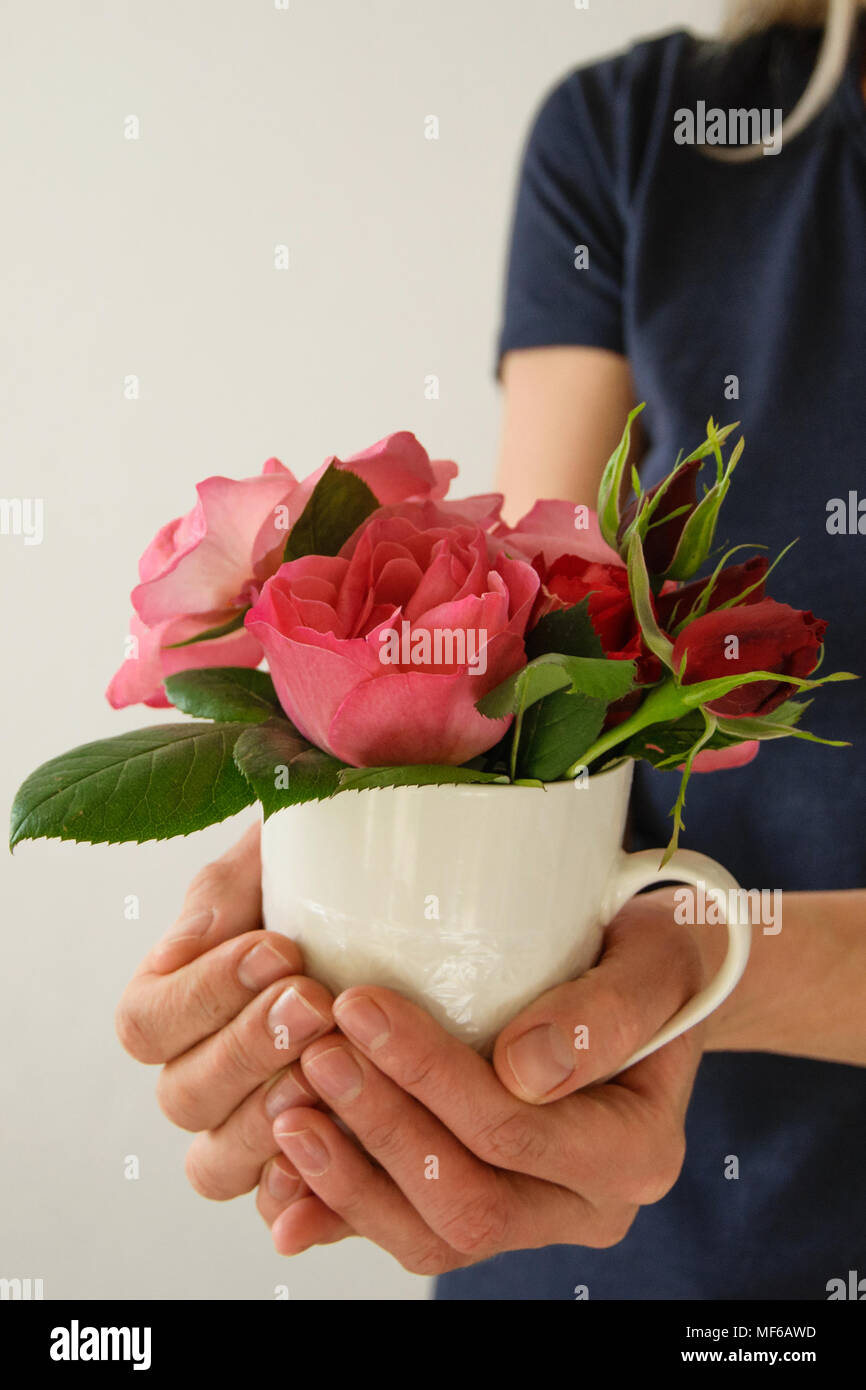 Jeune femme est titulaire d'une tasse avec de belles roses fraîches Banque D'Images