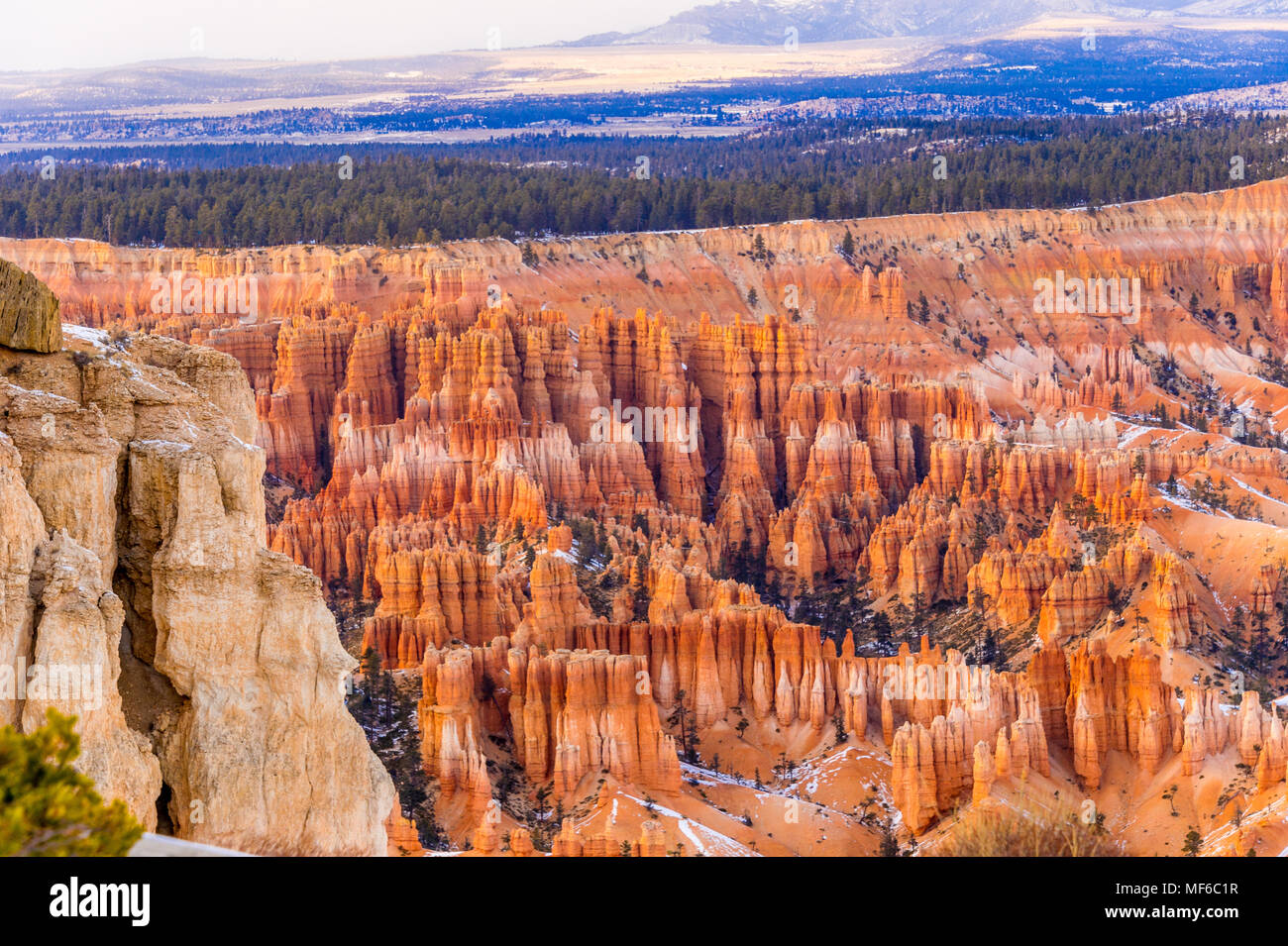 Bryce Canyon en hiver, Utah, USA Banque D'Images