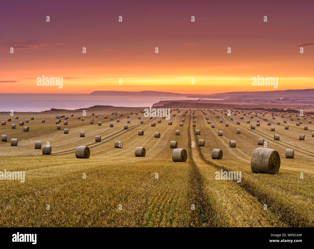 Hay, bottes de paille dans un champ par la mer au coucher du soleil Banque D'Images