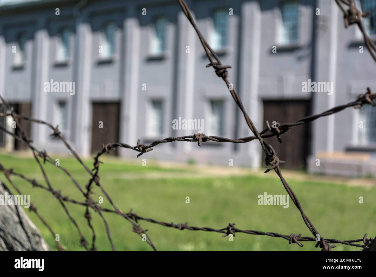 NIS, Serbie - 21 avril 2018 : du fil de fer barbelé et floue des capacités en camp de concentration, selective focus, Close up Banque D'Images