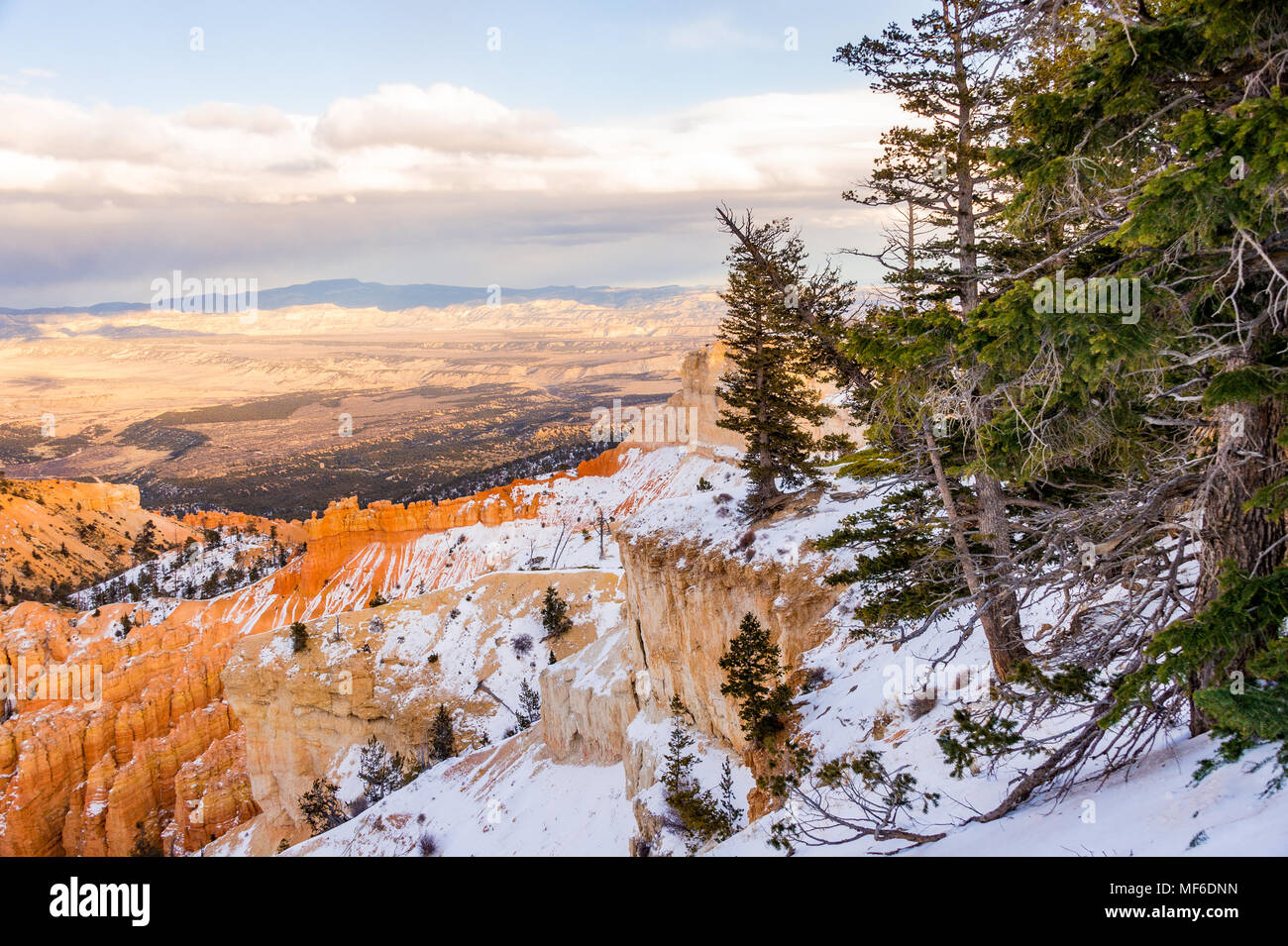 Bryce Canyon en hiver, Utah, USA Banque D'Images