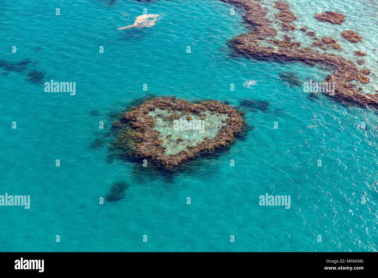 Récif de corail, coeur, partie d'Hardy Reef, extra-Grande Barrière de Corail, Queensland, Australie Banque D'Images