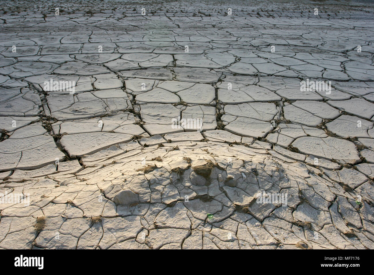 Concept de l'environnement, la pénurie d'eau et de la sécheresse de la boue fissuré sec photographié dans la région de la Mer Morte, Israël Banque D'Images