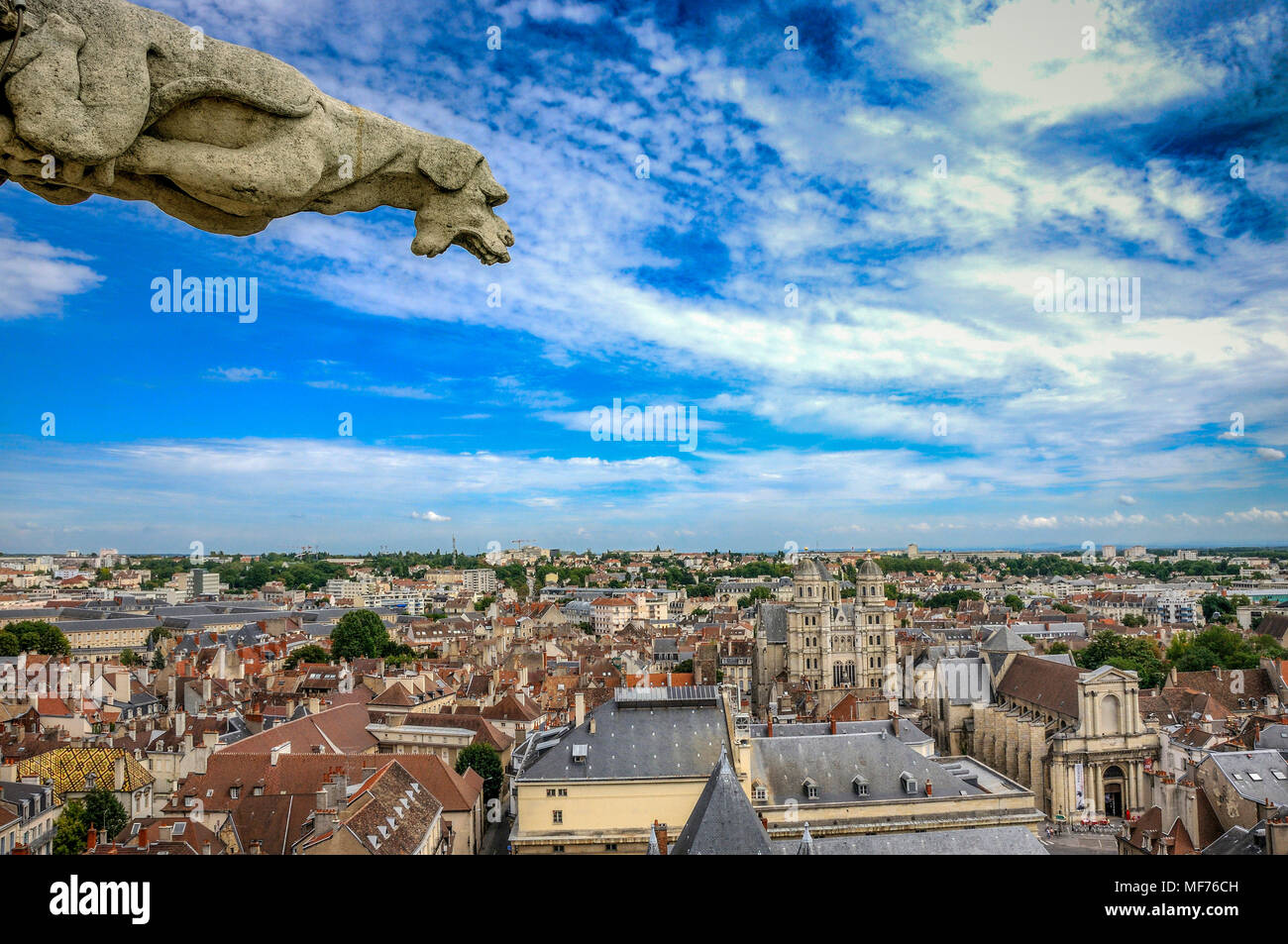 Gargouille de la Tour Philippe le Bon ,Palais des ducs de Bourgogne, Dijon, Cote d'Or, Bourgogne, France Banque D'Images