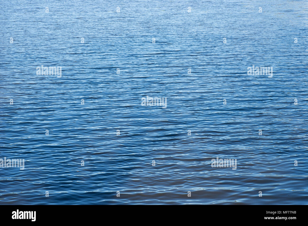 L'eau du lac bleu texture fond selective focus on sunny day Banque D'Images