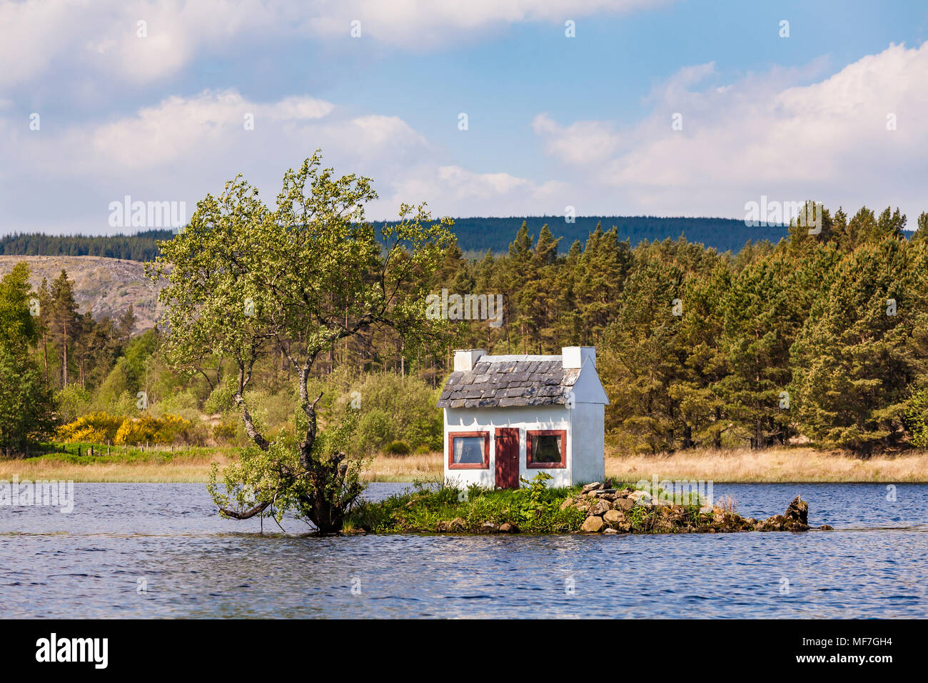 Royaume-uni, Schottland, Highlands, Loch Shin, Lairg, petite île avec nichoir Banque D'Images