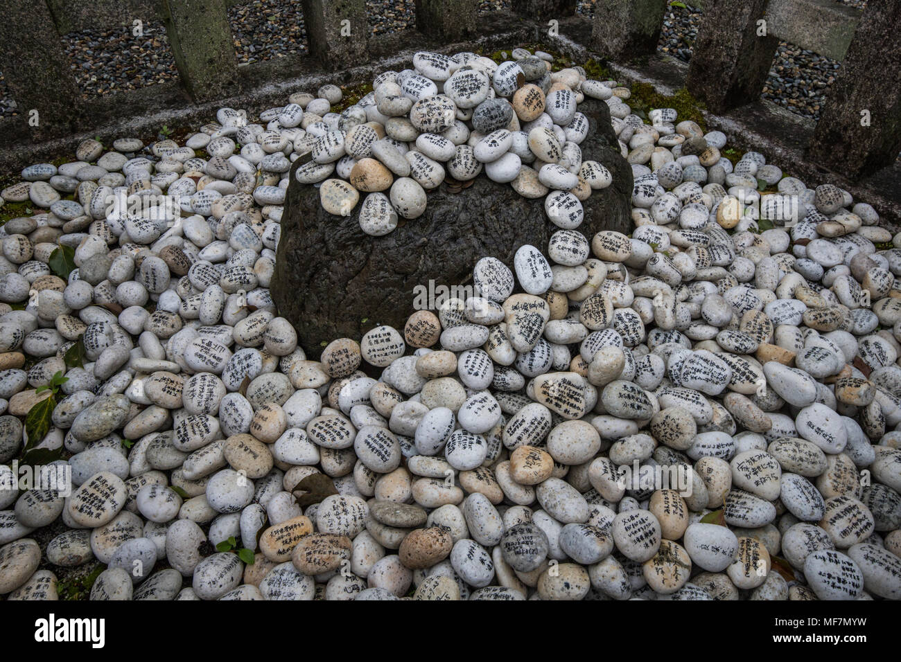 Tiens des pierres à Taisha - Taga Taga Taisha Temple est dédié au créateur dieux Izanami-no-mikoto et Izanagi-no-mikoto et le sanctuaire a bee Banque D'Images