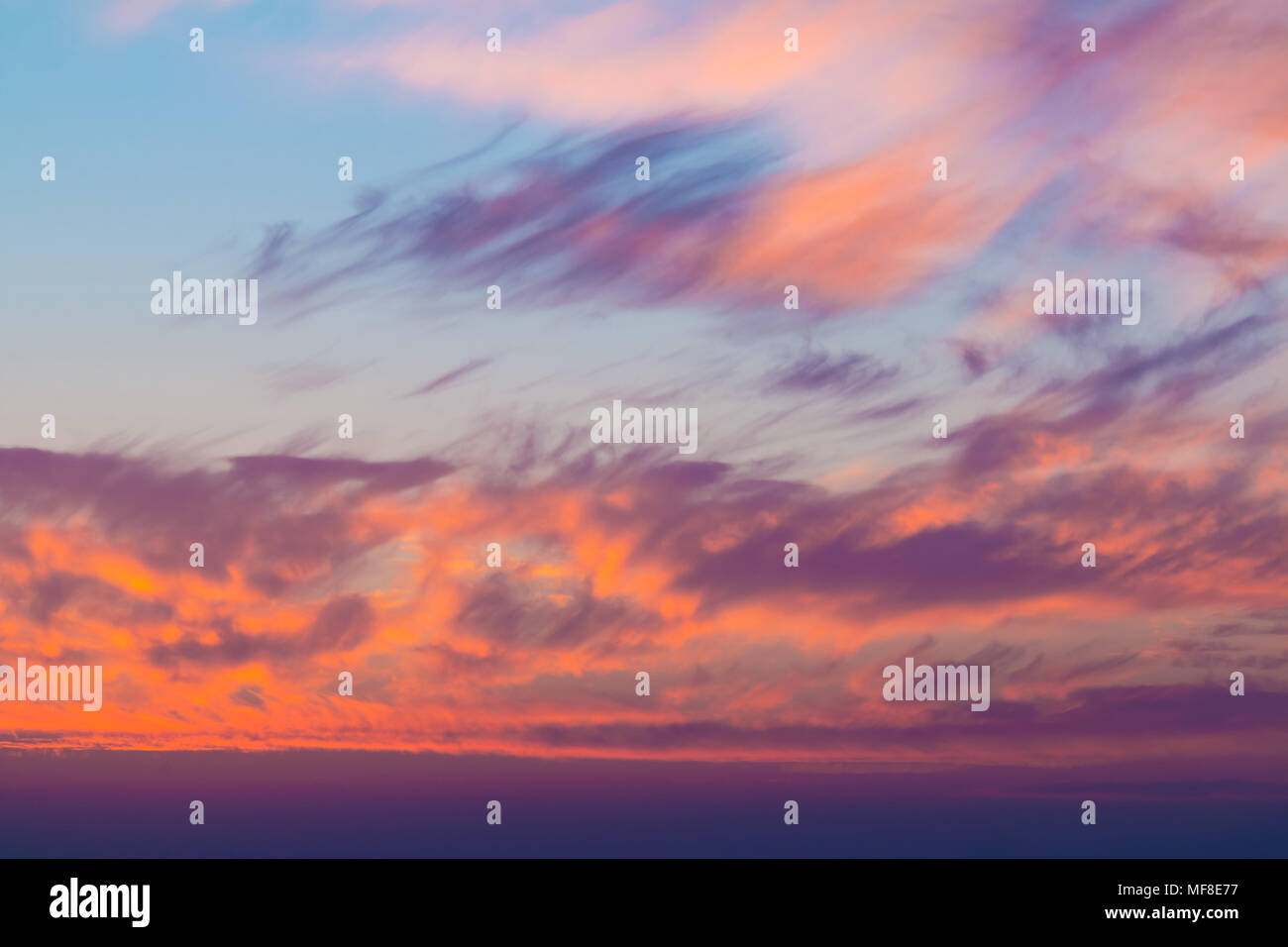 Beau coucher de soleil écarlate à cloudscape avec cirrus contrastées en couleur Banque D'Images