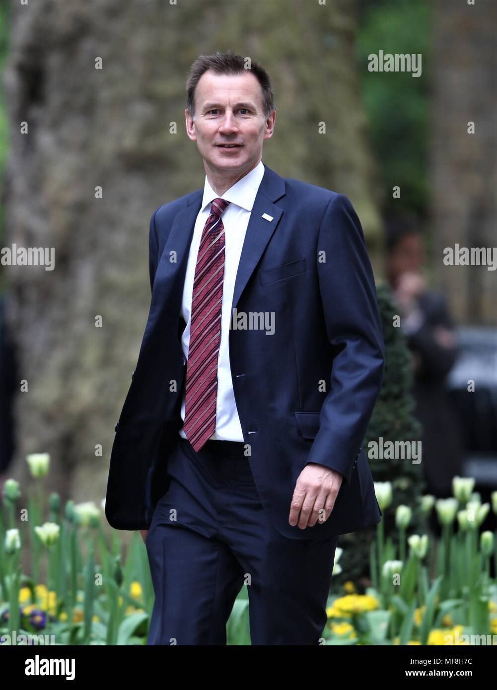 Londres, Royaume-Uni, 24 avril 2018. Secrétaire d'État à la santé et des soins sociaux Jeremy Hunt vu assister à une réunion du Cabinet au 10 Downing Street Banque D'Images