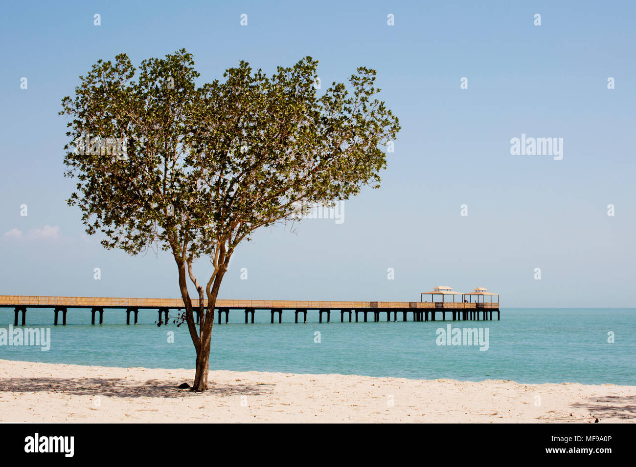 Pier et arbre sur la plage dans la ville de Koweït, Koweït Banque D'Images