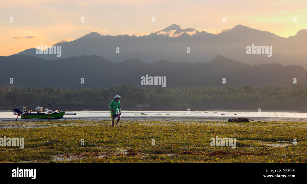 Marée basse avec le retour des pêcheurs au lever du soleil avec toile Mont Rinjani Lombok Indonésie tôt le matin Banque D'Images