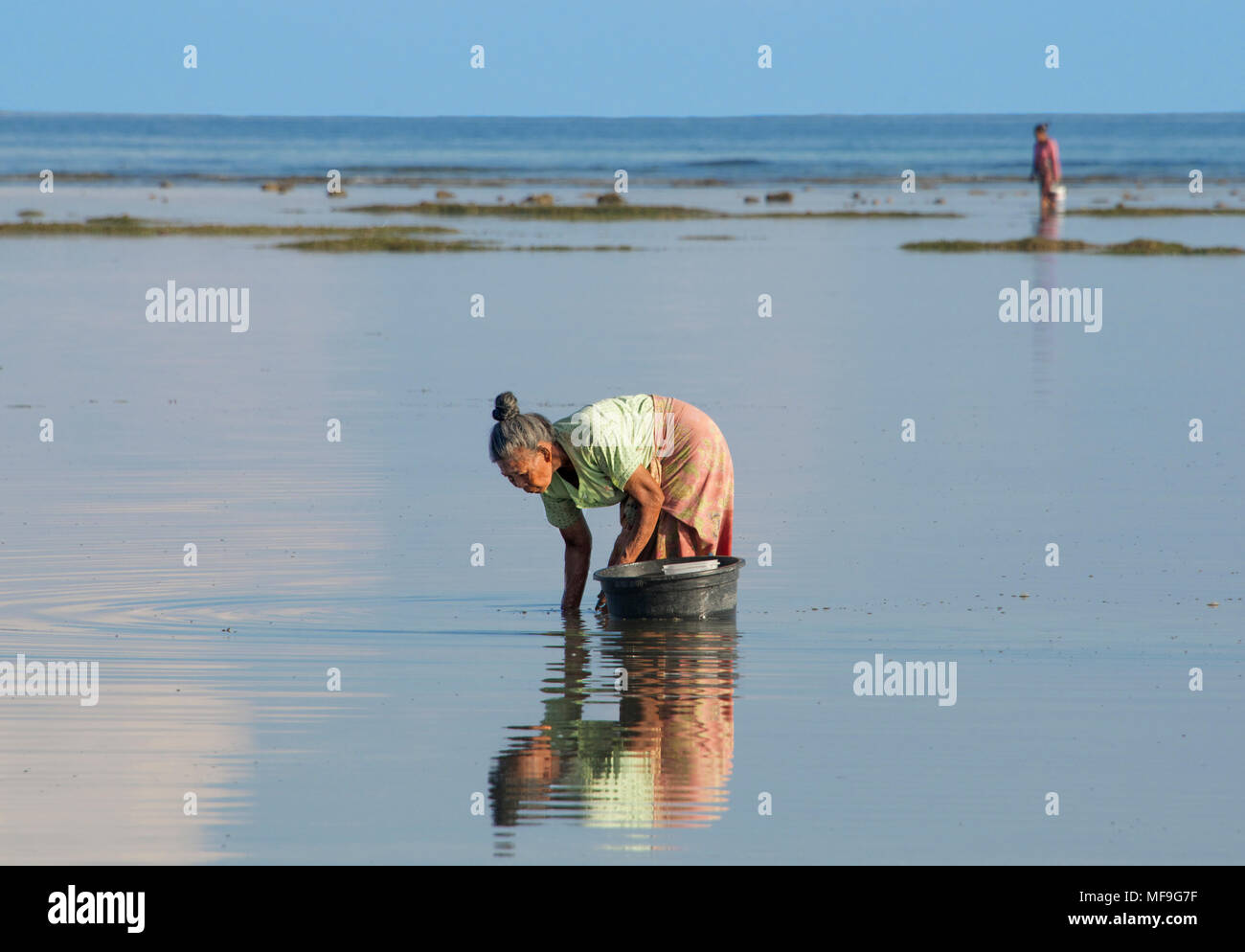 La collecte de poissons coquille femme Indonésie Lombok Tanjung Banque D'Images