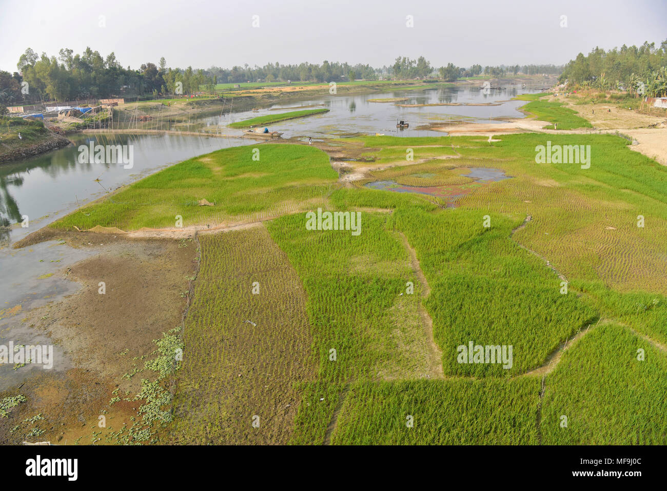 Bogra, Bangladesh - le 28 février 2017 : La rivière est Bangali embrassant une mort lente en raison de l'absence de dragage et/ou par l'effet des droits de l'encroachme Banque D'Images