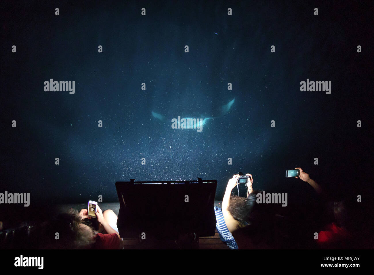 Manta Ray plancton approches hors de l'obscurité à nuit derrière bateau que les gens regardent Banque D'Images