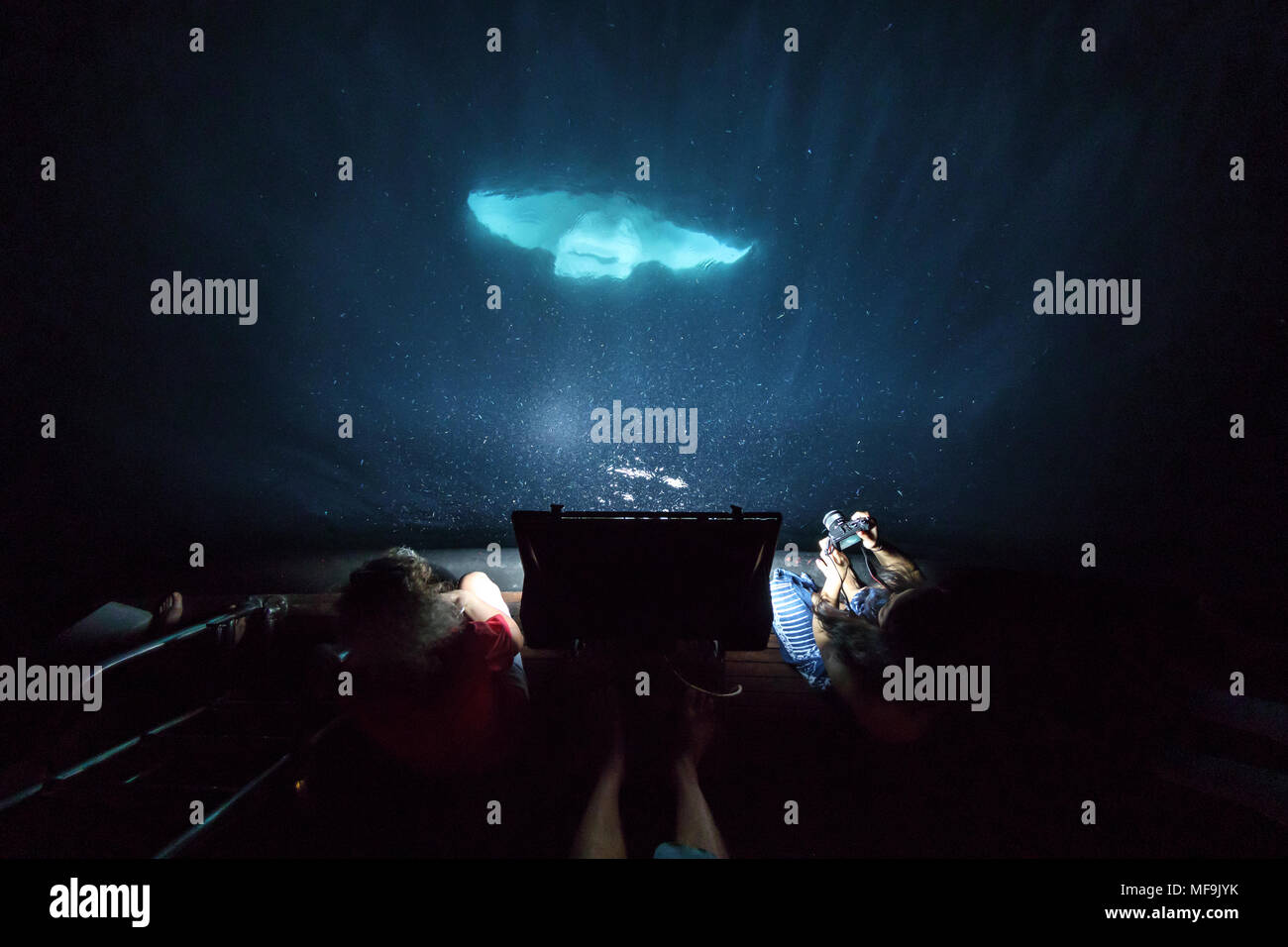 Manta Ray aspire de plancton dans la nuit par l'arrière du bateau que les gens regardent dans le noir Banque D'Images