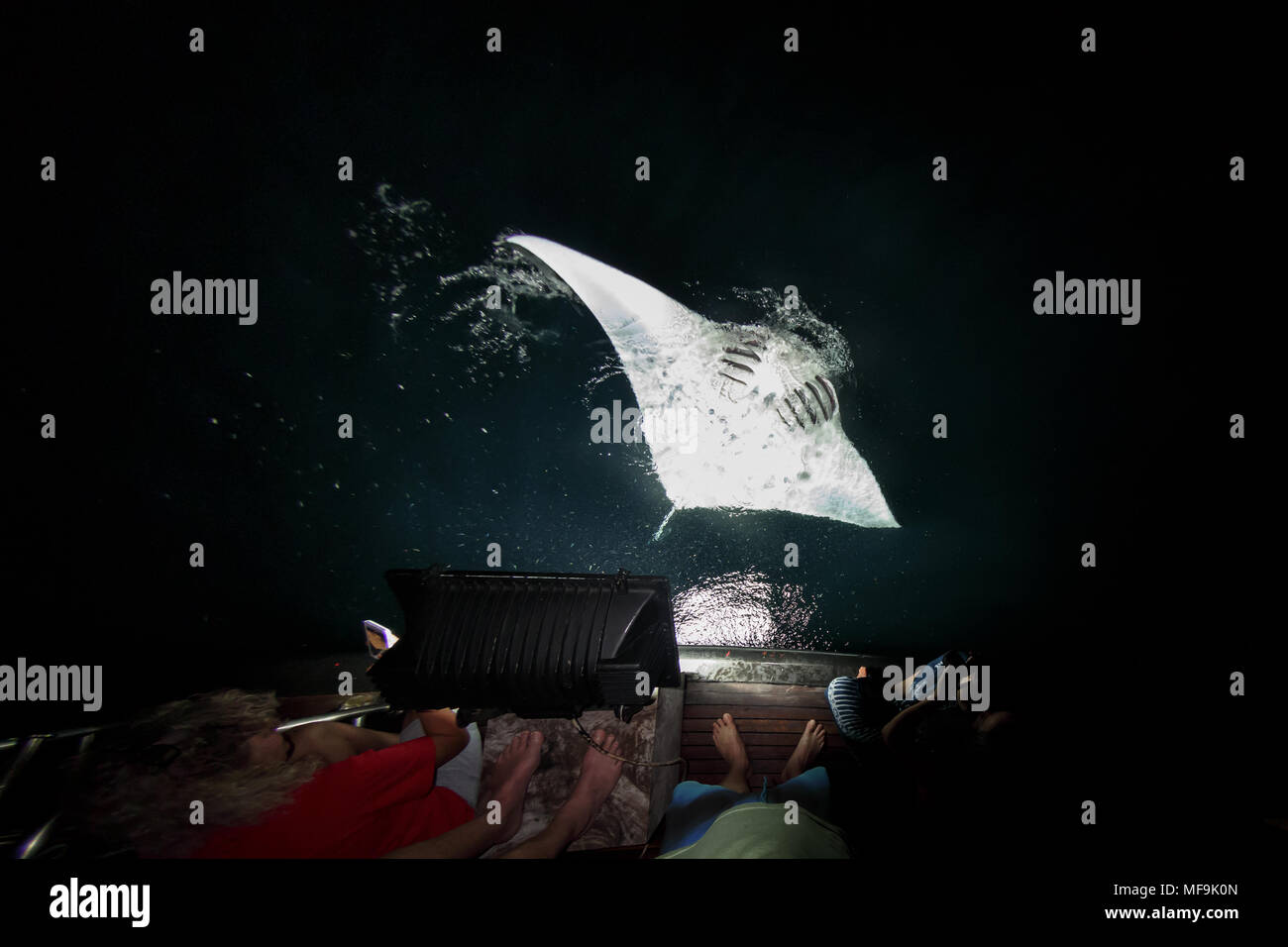 Manta Ray gorges de plancton dans la nuit derrière bateau que les gens regardent dans le noir Banque D'Images