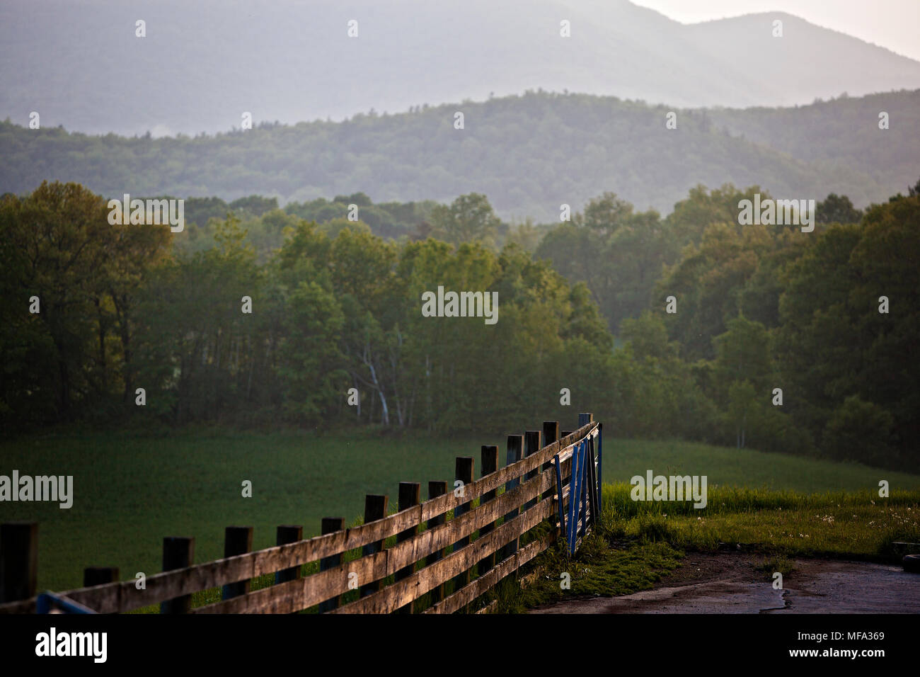 Vieille clôture en bois dans une prairie d'été du Vermont au crépuscule avec le vert des montagnes en arrière-plan Banque D'Images