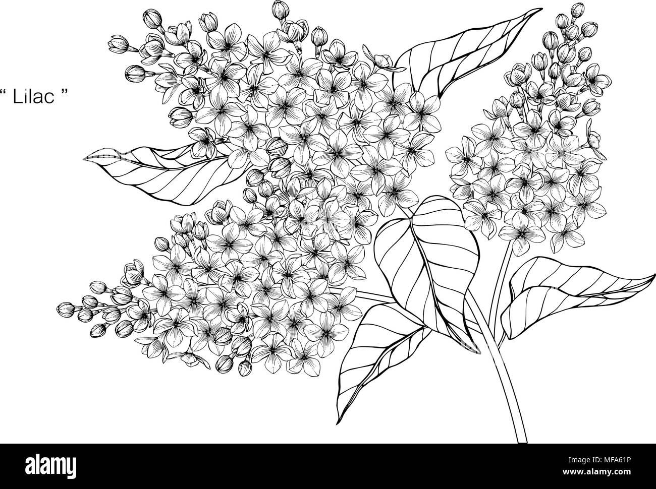 Sticker Dessin Vectoriel Banc De Parc Sous Un Buisson Lilas En Fleurs Pixerstick