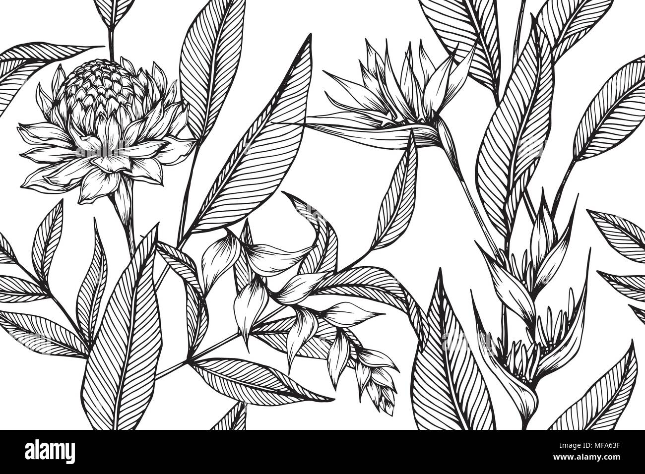 Motif Hawaïen Avec Arrière Plan Transparent Et Fleur Dessin