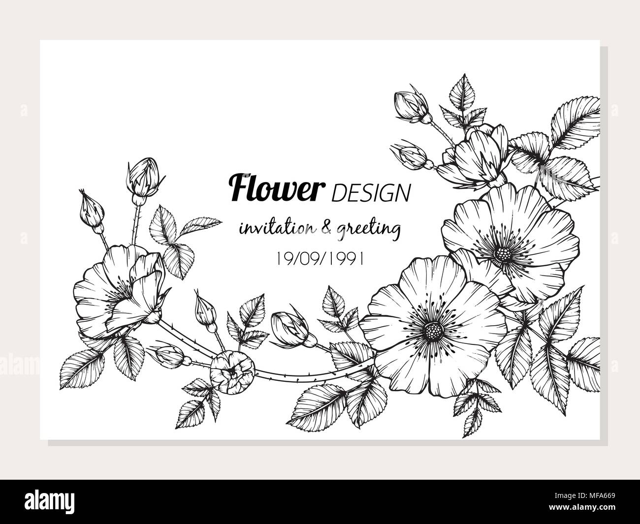 Dog rose fleur cadre illustration de dessin pour la conception de cartes. Illustration de Vecteur